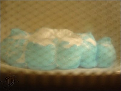 2bluepeeps08.jpg