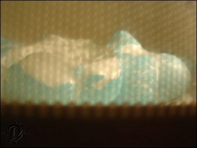 2bluepeeps09.jpg