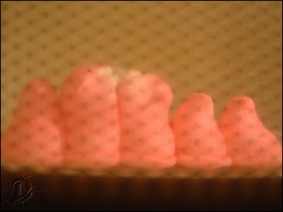 3pinkpeeps06.jpg
