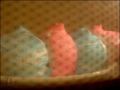 4multipeeps06.jpg